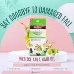 Best Amla Hair Oil