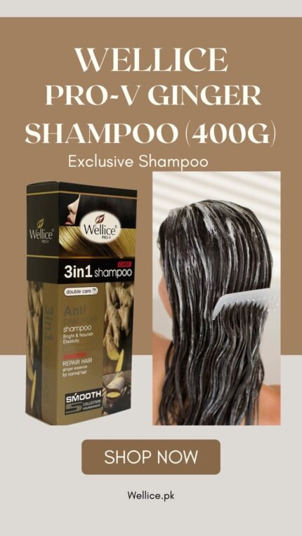 Wellice PRO-V Ginger Shampoo (400g)