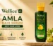 Wellice Amla Hair Serum for stronger, healthier, and shinier hair